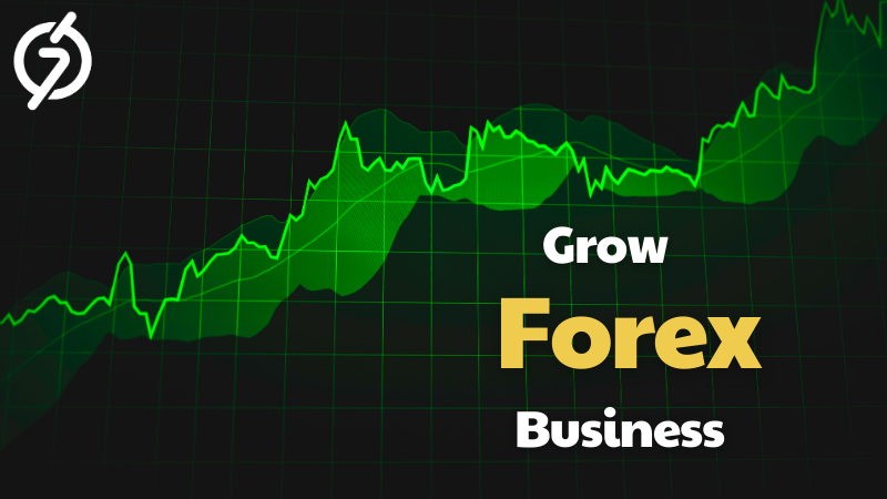 grow forex business