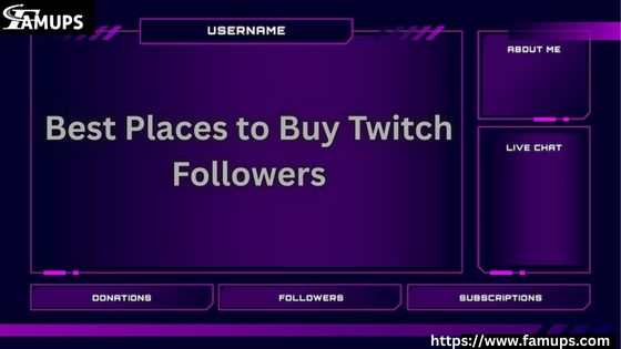 Best Places to Buy Twitch Followers